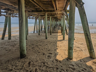 Foundation pilings of an old pier in New England