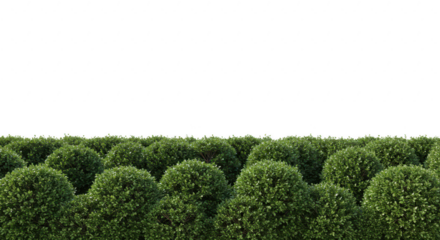 Photo of a dense field of green bushes isolated on transparent background creates a natural and decorative landscape
