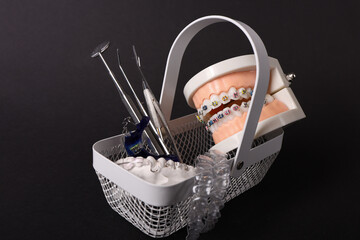 Dentist with Orthodontic tooth model and bracket or brace. Clean and Scrape off tartar. May Orthodontic Health Day, March Oral health, Dentist Day, False Teeth. Toothache and Children Dental Health