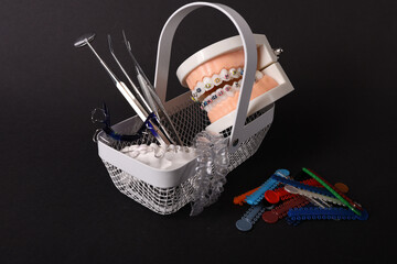 Dentist with Orthodontic tooth model and bracket or brace. Clean and Scrape off tartar. May Orthodontic Health Day, March Oral health, Dentist Day, False Teeth. Toothache and Children Dental Health