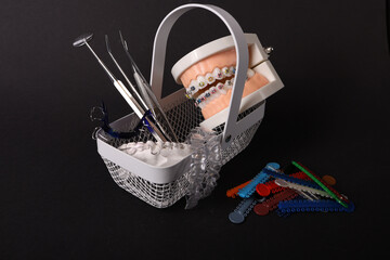 Dentist with Orthodontic tooth model and bracket or brace. Clean and Scrape off tartar. May Orthodontic Health Day, March Oral health, Dentist Day, False Teeth. Toothache and Children Dental Health