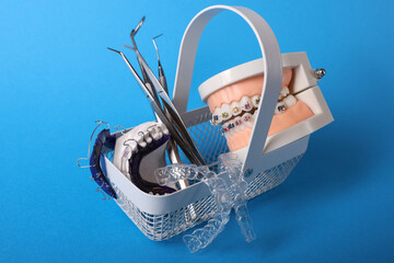 Dentist with Orthodontic tooth model and bracket or brace. Clean and Scrape off tartar. May Orthodontic Health Day, March Oral health, Dentist Day, False Teeth. Toothache and Children Dental Health