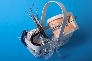 Dentist with Orthodontic tooth model and bracket or brace. Clean and Scrape off tartar. May Orthodontic Health Day, March Oral health, Dentist Day, False Teeth. Toothache and Children Dental Health