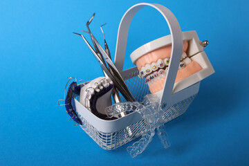 Dentist with Orthodontic tooth model and bracket or brace. Clean and Scrape off tartar. May Orthodontic Health Day, March Oral health, Dentist Day, False Teeth. Toothache and Children Dental Health