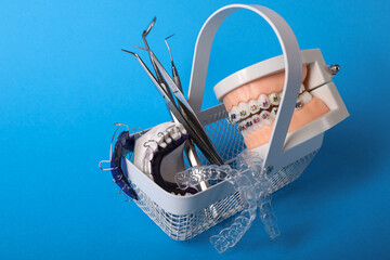 Dentist with Orthodontic tooth model and bracket or brace. Clean and Scrape off tartar. May Orthodontic Health Day, March Oral health, Dentist Day, False Teeth. Toothache and Children Dental Health