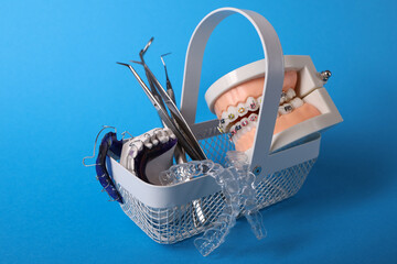 Dentist with Orthodontic tooth model and bracket or brace. Clean and Scrape off tartar. May Orthodontic Health Day, March Oral health, Dentist Day, False Teeth. Toothache and Children Dental Health