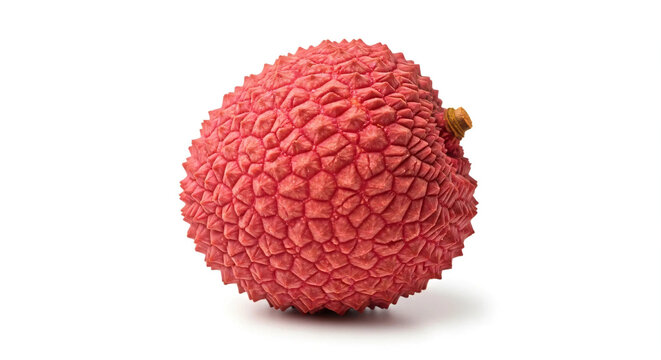 Lichia