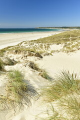 St.Ouen's Bay, Jersey, U.K. Beautiful bay and dune in the Summer.