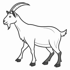 Goat isolated on a white background