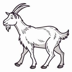 goat on white background