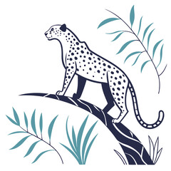 cheetah on a white background