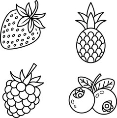 Fruit outline illustration, strawberry, pineapple, raspberry, blueberry, black and white vector, hand-drawn sketch, coloring book page, educational food design, clipart