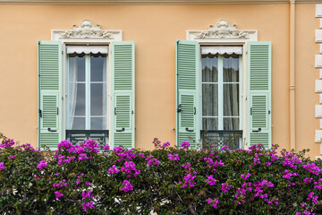 Detail of the facade of an elegant house with a pair of windows, stucco decorations and light green shutters, behind a bougainvillea in bloom, Monaco, Principality of Monaco