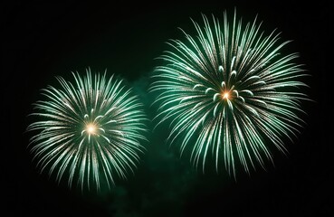 Fototapeta premium Two bright green, silver fireworks explode against dark night sky. Festive bursts of light create celebratory atmosphere, perfect for New Year Eve, holidays, special events. Illumination vibrant