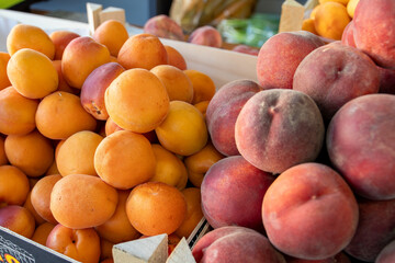 Lots of ripe apricots. Apricots in a box. Sale of apricots at the market and store. Background. Top view. Conservation for the winter. Vegetarianism.