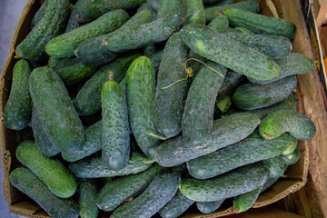 Many ripe cucumbers. Cucumbers in a box. Sale of cucumbers at the market and store. Background. Top view. Concentration sale at the market and store. Farm products. Vegetarianism.