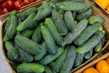 Many ripe cucumbers. Cucumbers in a box. Sale of cucumbers at the market and store. Background. Top view. Concentration sale at the market and store. Farm products. Vegetarianism.