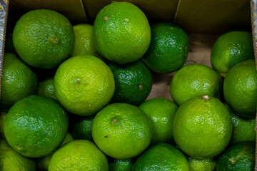 Lots of green lime. Lime in a box. Sale of lime at the market and store. Background. Top view. Conservation for the winter. Vegetarianism.