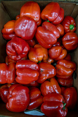 Many ripe red sweet peppers. Paprika. Sweet peppers in a box. Sale of peppers at the market and store. Background. Top view. Concentration of preservation for the winter. Farm products. Vegetarianism.