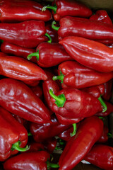 Many ripe red sweet peppers. Paprika. Sweet peppers in a box. Sale of peppers at the market and store. Background. Top view. Concentration of preservation for the winter. Farm products. Vegetarianism.