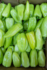 Many ripe green sweet peppers. Sweet peppers in a box. Sale of peppers at the market and store. Background. Top view. Concentration of preservation for the winter. Farm products. Vegetarianism.