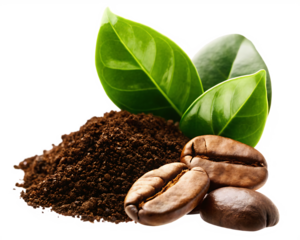 Ground coffee roasted beans leaves isolated on a transparent background