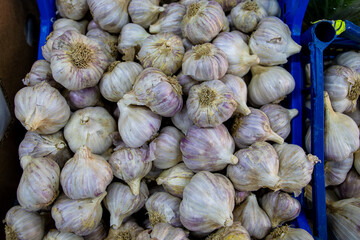 Lots of blackberries. Garlic in a box. Sale of garlic at the market and store. Background. Top view. Conservation for the winter. Farm products. Vegetarianism.