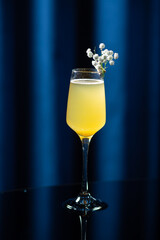 Glass of yellow cocktail with white flowers on a reflective black surface against a dark blue background