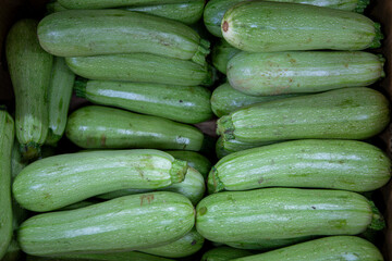 Lots of zucchini. Zucchini in a box. Selling zucchini at the market and in the store. Background. Top view. Conservation for the winter. Farm products. Vegetarianism.
