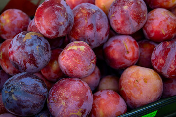 Lots of ripe plums. Plums in a box. Sale of plums at the market and store. Background. Top view. Conservation for the winter. Vegetarianism.