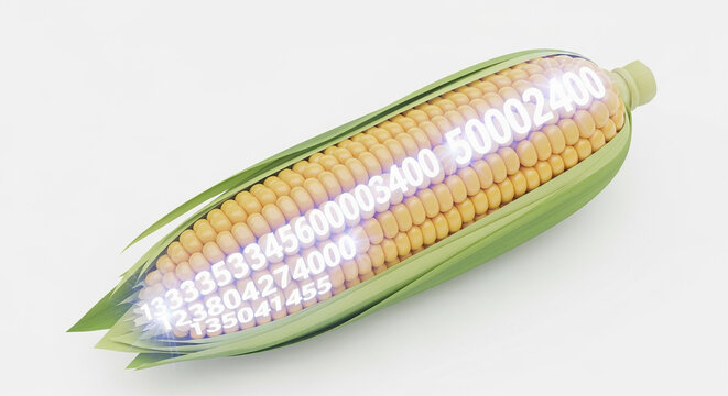 Corn with glowing numbers overlay symbolizes data, finance, and technology solutions for agriculture, food production, and sustainable farming practices