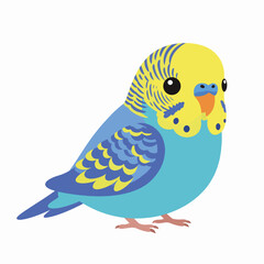 Colorful cartoon parakeet illustration with yellow and blue feathers  