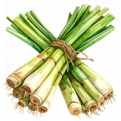 Obraz premium Watercolor Lemongrass Bundle Tied with Twine Detail of a Culinary Herb