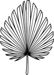 Fossil palm frond fan leaf outline icon vector
