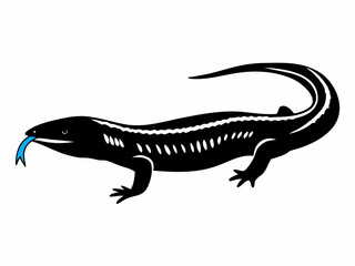 Obraz premium Illustration of a black lizard with white markings and a blue tongue on a white background image art created with generated ai