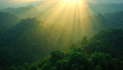 Sunbeams penetrate misty rainforest canopy creating ethereal light rays. Rich green jungle landscape from mountain view. Morning sun shines through tropical forest, evoking nature, ecology, scenic