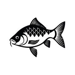 Fototapeta premium Stylized black and white illustration of a carp fish showing its scales and fins