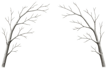 Two bare branches forming an arch on a transparent background