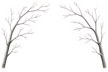 Two bare branches forming an arch on a transparent background