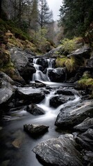 Obraz premium Forest waterfall landscape photography