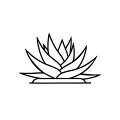 Agave Plant Succulent Minimalist Outline on White Background with Flat Base