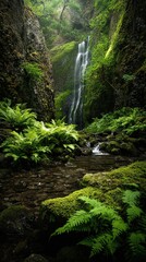 Waterfall cascading through lush gorge
