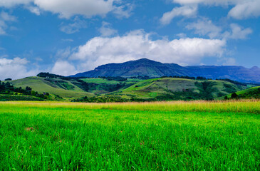 Fototapeta premium Lush grassland and rolling hills with Drakensberg mountain backdrop, South Africa