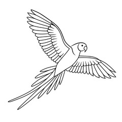 Elegant line art of a flying parrot with long tail feathers. Ideal for coloring books, educational content, nature-themed designs, or decorative bird artwork.