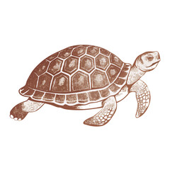 "Ultimate SVG Vector Design Bundle – Abstract, Geometric, Botanical, Mandala, Minimal, Vintage & Modern Elements for Cricut, Laser Cutting, Sublimation, and DIY Crafts"