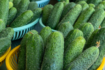 Fresh green cucumbers neatly arranged in colorful baskets at a local market. Crisp cucumbers displayed in baskets reflecting the essence of freshness and vitality.