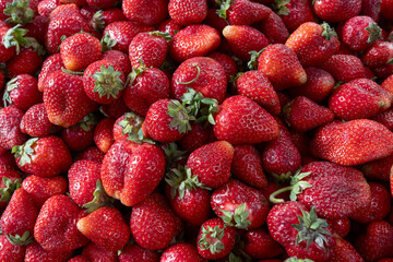 Fresh Strawberries at the Market. A Colorful Display of Ripe Strawberries Inviting You to Taste the Sweetness of Summer. The Joy of Harvesting Fresh Strawberries from Local Farms.