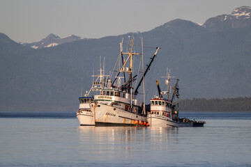 Fish Buying Boat
