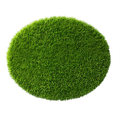 Lush green grass oval shape isolated 