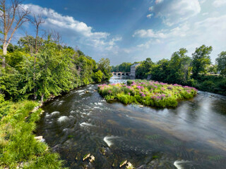 Flowing river by flower mill